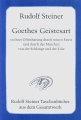 Goethes Geistesart in ihrer Offenbarung durch seinen Faust